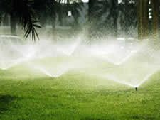 Sprinklers