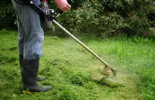 String Trimmer